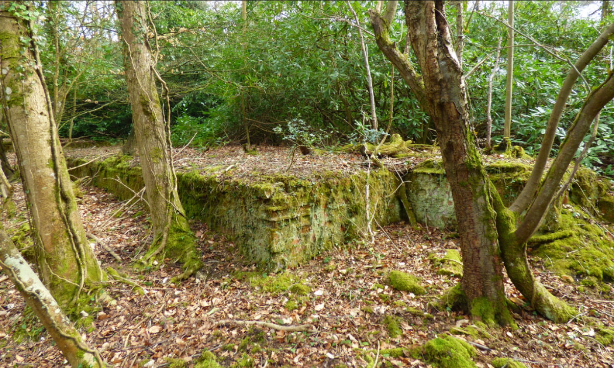 Harrow Road Nissan Base