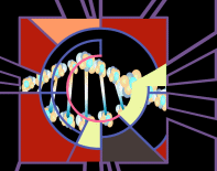 DNA Sequence