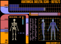 Skeletal Scan